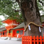 九州のパワースポット神社はどこ？おすすめの神社とそのご利益を紹介！