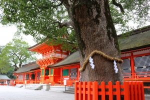 九州のパワースポット神社はどこ？おすすめの神社とそのご利益を紹介！