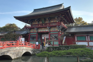 仕事運が向上する九州の神社とは？ベスト5をまとめてみた！